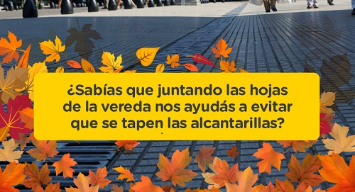 HOJAS